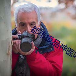 都市極品神醫葉辰