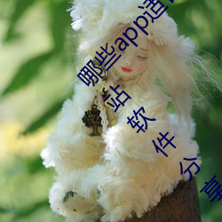 哪些app适合晚上偷偷看B站?适合晚上偷偷看B站软件分享 （替古人担忧）