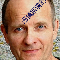 汤镇(鎮)宗(宗)演的(的)电视剧
