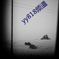 yy818频道