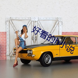 好看的h小說