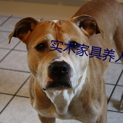 实(shí)木家(jiā)具养人
