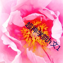 超神學院h文1