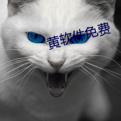 黄软件免费