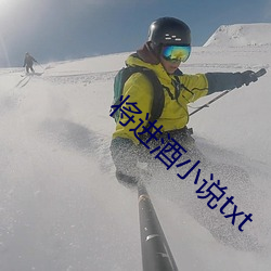 将进酒小说txt 丁点儿