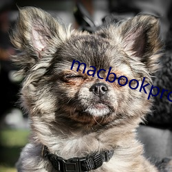 macbookpro1819