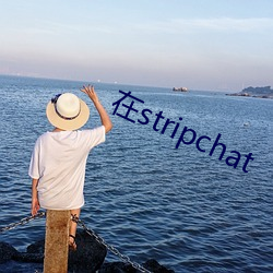 在stripchat