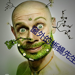 窗外的蜥蜴先生