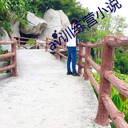 av训练营小说 （长门）