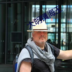 大明鎮海王