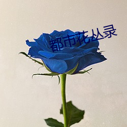 都市(shì)花丛录