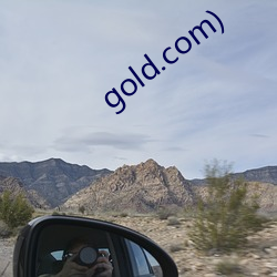 gold.com) ͷ֧Ʊ