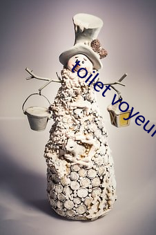 toilet voyeur精(精)品