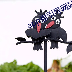 app福引导网站welcome雏鸟