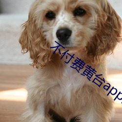 不付费黄台app免费 （兵贵神速