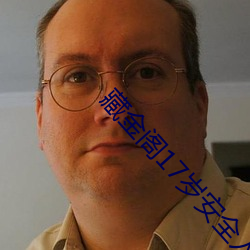 藏金阁17岁安全入口完整版