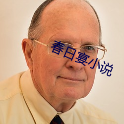 春日宴小说