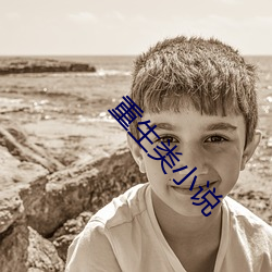 重生类小说