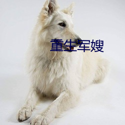 重生軍嫂