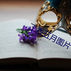 丁(dīng)香五月(yuè)图片