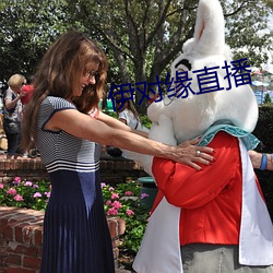 伊对缘直播