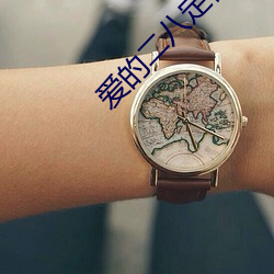 爱的二八定律小说