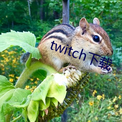 twitch下载