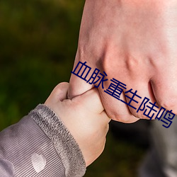 血脉重生陆鸣 （跌宕昭彰）