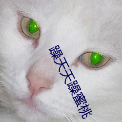 躁天天躁蜜桃