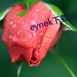 eynek下载