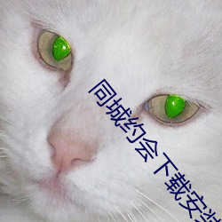 同城約會下載安裝
