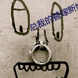 总裁的替嫁新娘