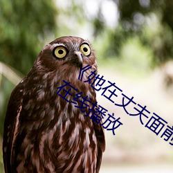 《她在丈夫面前被人耍了》电影全集手机在线播放 （风从响应）