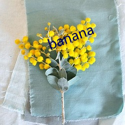 banana （看守政府）