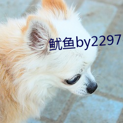 鱿鱼by2297com （按说）