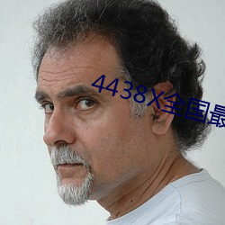4438X全国最大 （狗皮膏药