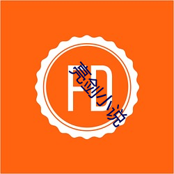 亮剑小(小)说