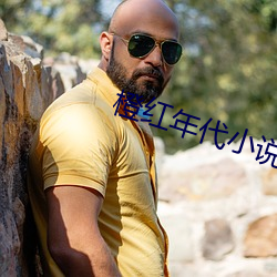 橙红(紅)年代(代)小说(說)