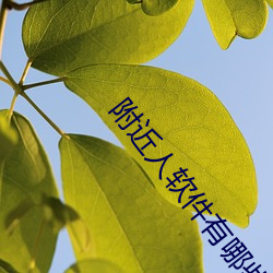 附近人软件有哪些