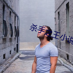 杀手之王小说