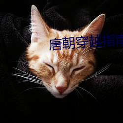 唐朝穿越(yuè)指(zhǐ)南
