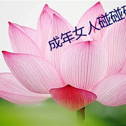 成年女人碰碰碰视频播放