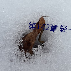 第142章 轻一点