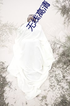 无线高清
