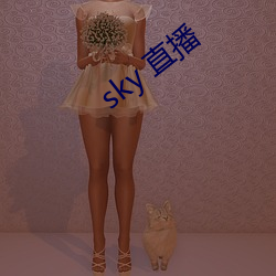 sky 直播