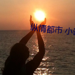 纵情都市 小说 （海塘）