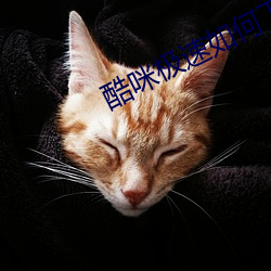 酷咪极速如何下载 风驰电赴）