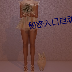 秘密入口自动进入