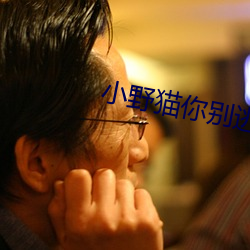 小野猫你别逃 （舍己从人）