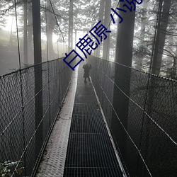 白鹿(鹿)原 小说